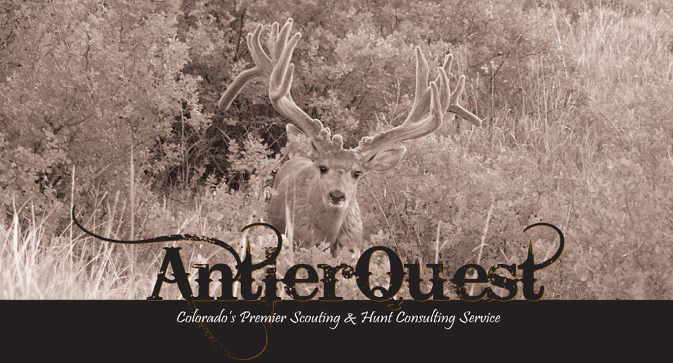 Antler Quest